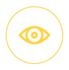Vision